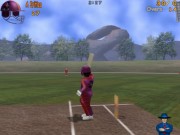 3D Wicket Wackers 2004 �X�N���[���V���b�g 01