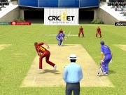 Cricket Revolution：PCスポーツ