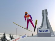 Deluxe Ski Jump 4：PCスポーツ