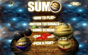 SUMO：PCスポーツ